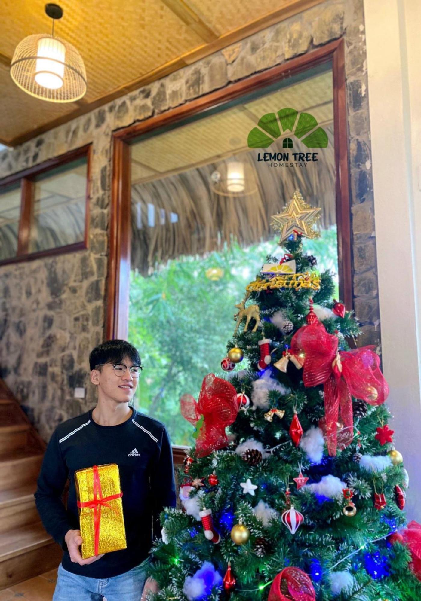 Lemon Tree Homestay Tam Coc Ninh Bình Kültér fotó