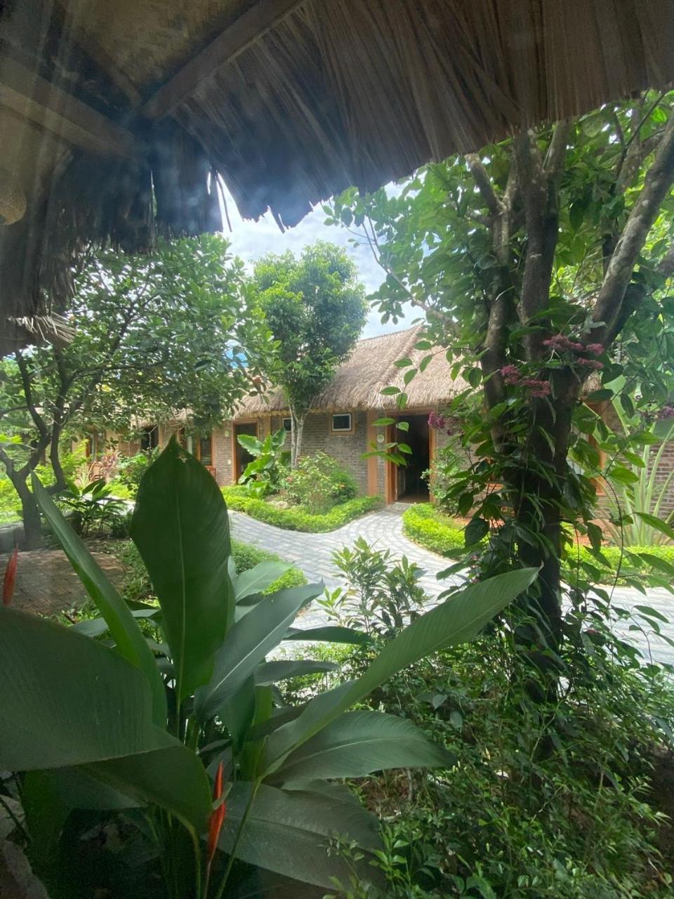 Lemon Tree Homestay Tam Coc Ninh Bình Kültér fotó