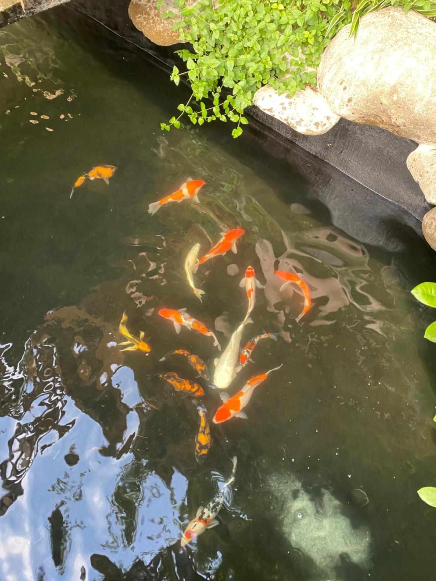 Lemon Tree Homestay Tam Coc Ninh Bình Kültér fotó